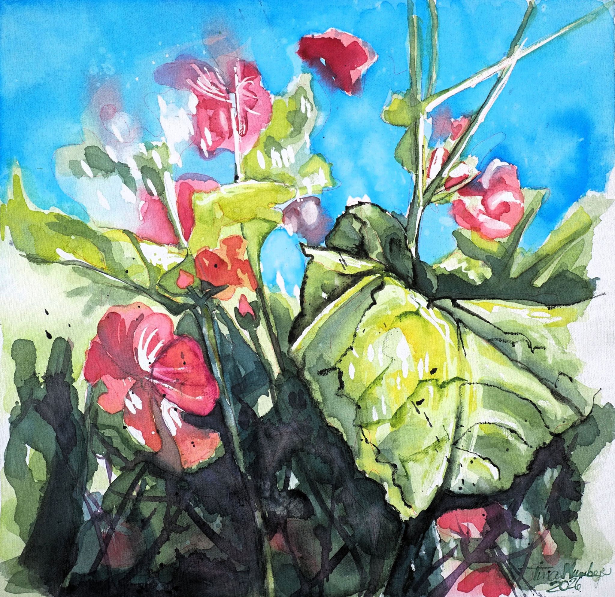 Aquarelle