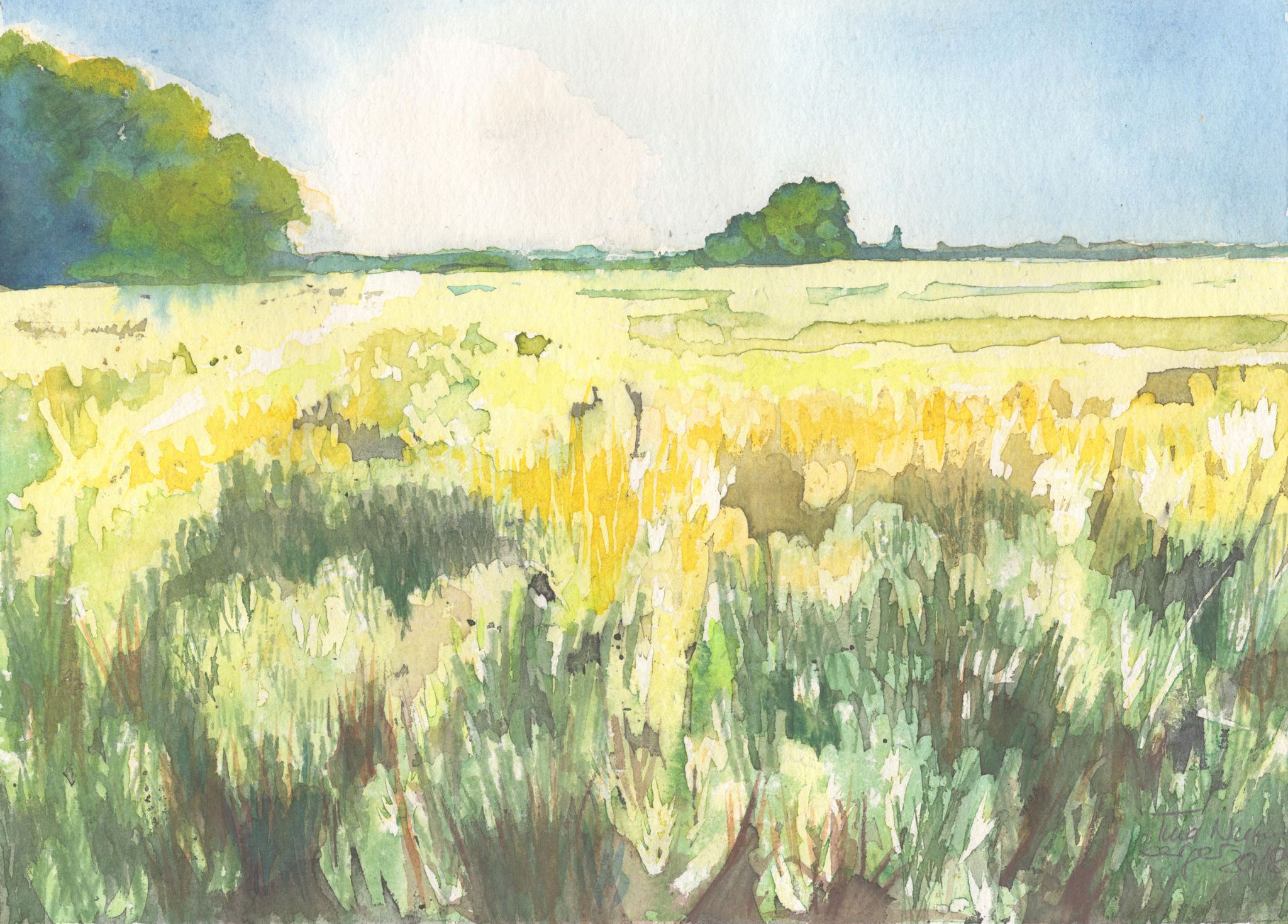 Aquarell: