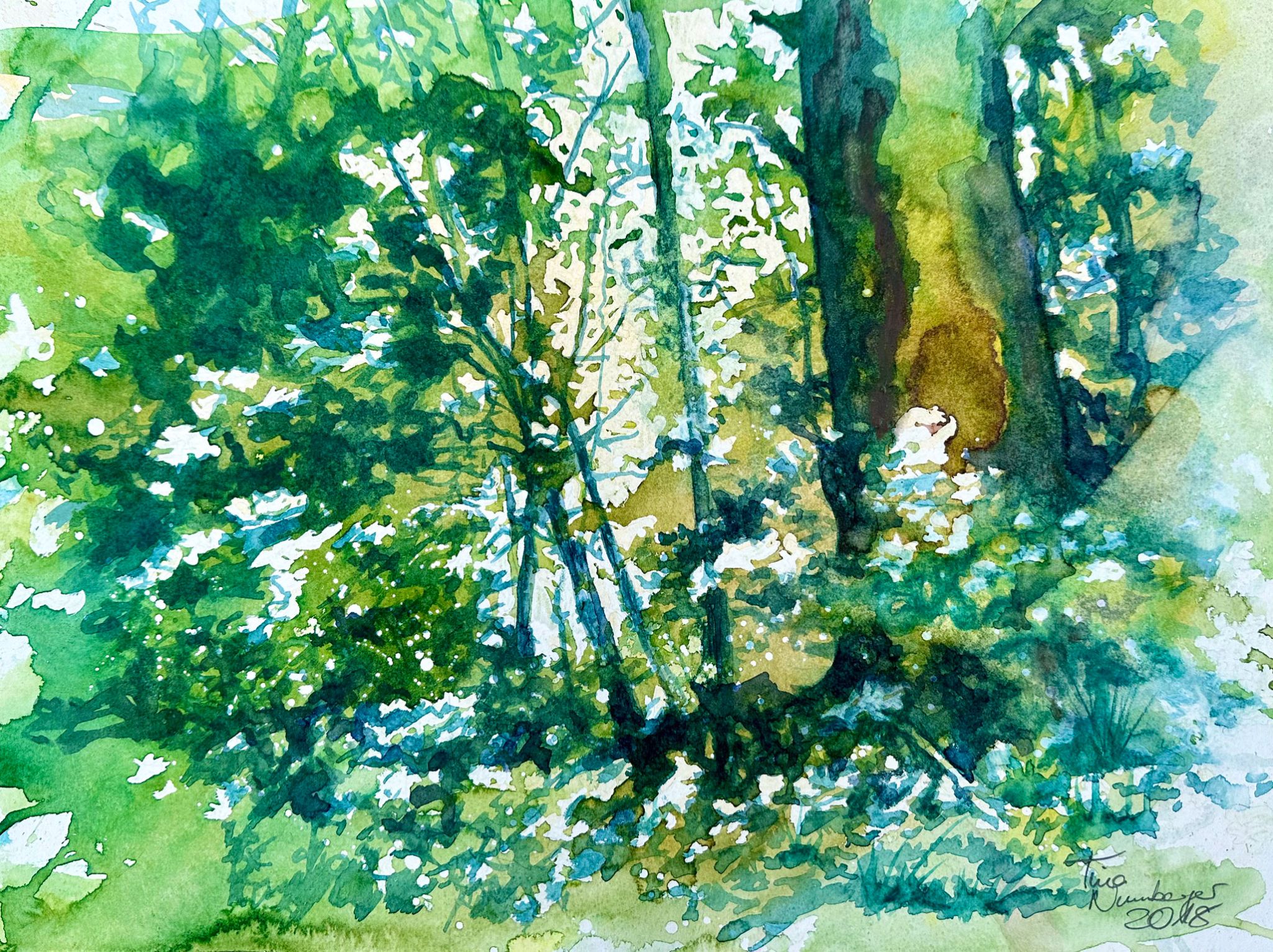 Aquarell: