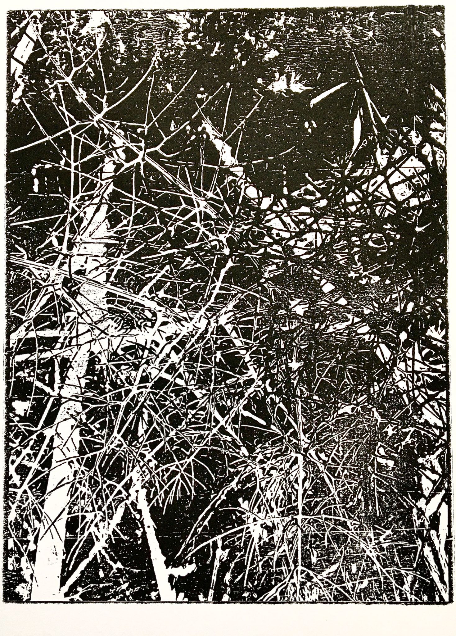 Tina Numberger Linoprint 10